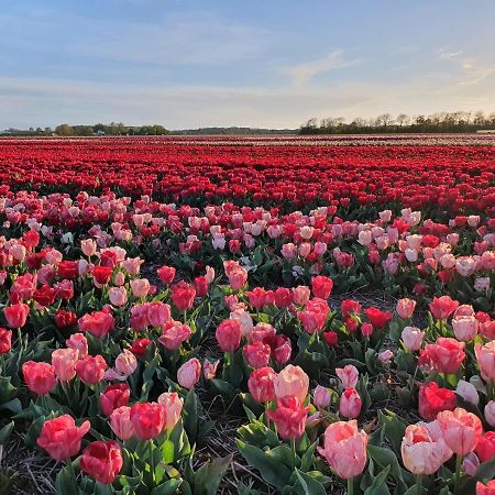 Buitenhuis Egmond Egmond aan den Hoef Esterno foto